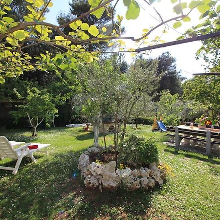 Modern Apartment Sabina With Nice Garden Poreč Dış mekan fotoğraf